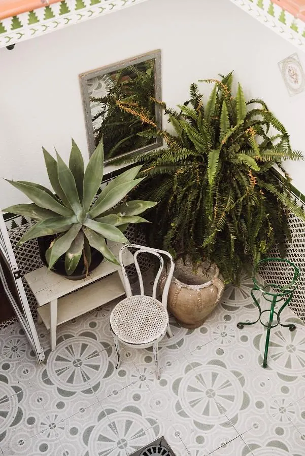 Encanto Guesthouse Canillas de Aceituno Spagna
